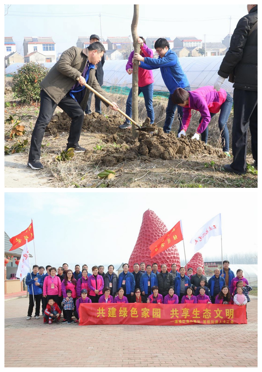 为迎接国家第40个植树节,11日上午浦楼街道工会组织各级干部职工50余